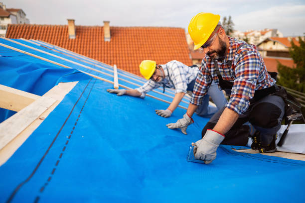 Best New Roof Installation  in Surrey, ND