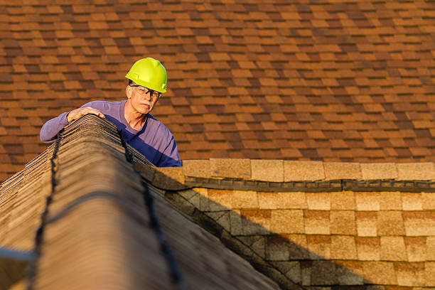 Best Best Roofing Contractors  in Surrey, ND