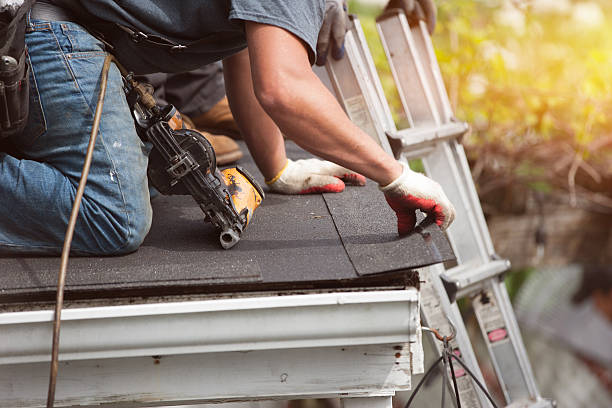 Best Local Roofing Companies  in Surrey, ND