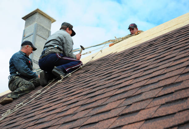 Professional Roofing Contractor in Surrey, ND